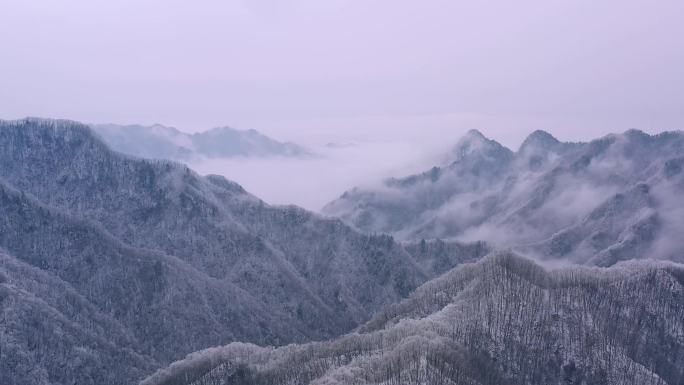 原创清晨高山大雪后云海