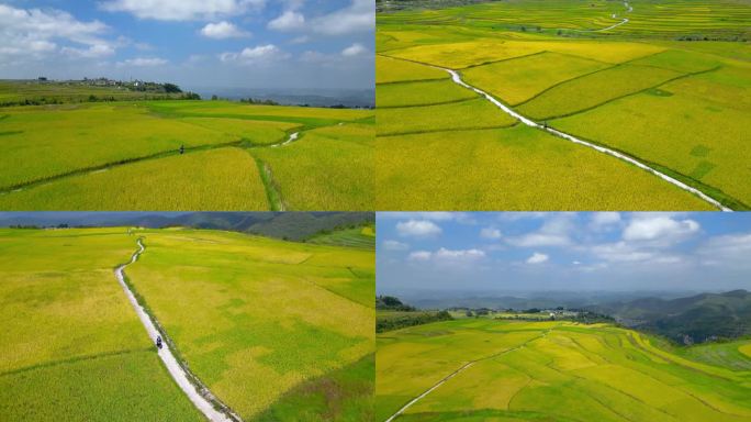 贵阳高坡梯田