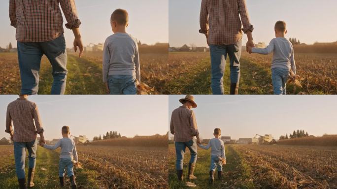 SLO MO农民和儿子的后景，在晴朗的天气下，手牵着手走在收割的玉米地里