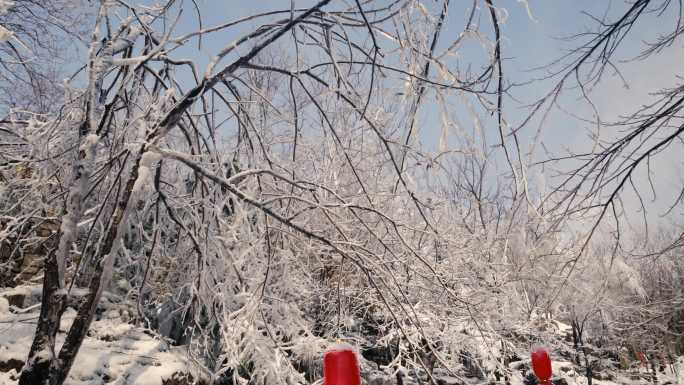 北方的雪