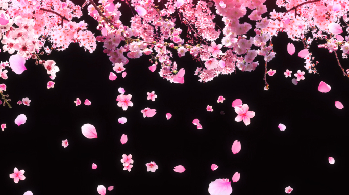 唯美粉色花树背景8k