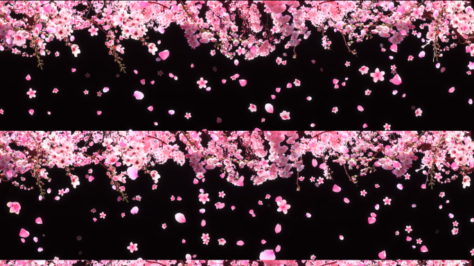 唯美粉色花树背景8k