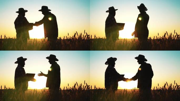 两个农民站在麦田里握手交谈。伙伴关系和团队合作，两个商人使用笔记本电脑控制农业企业和农田。竖起大拇指