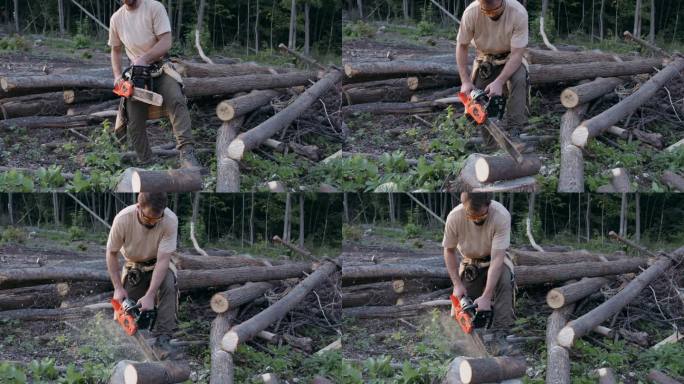 强壮勤劳的伐木工人戴着护具砍树