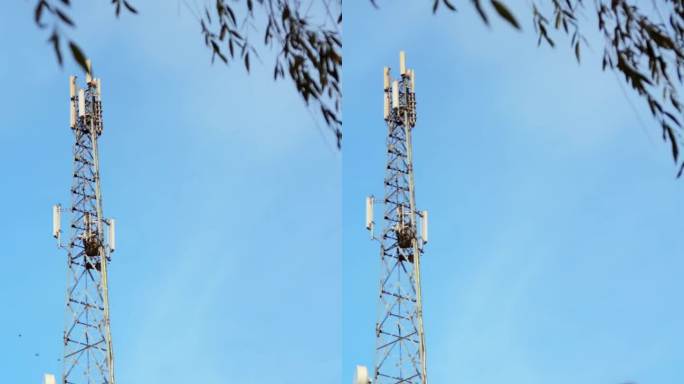 在危险的3G、4G、5G移动通信发射塔上看手机的女孩子或妇女