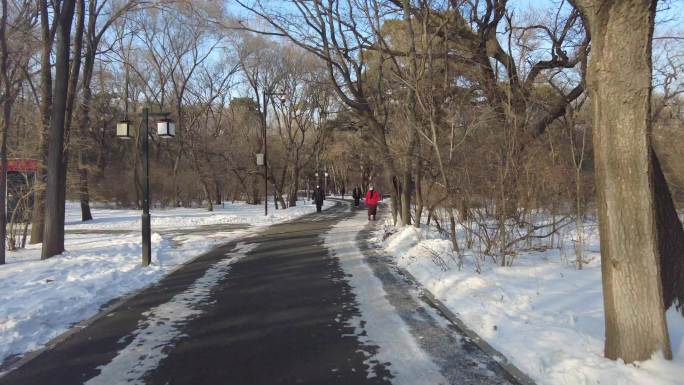 古建筑红墙雪景路程延时