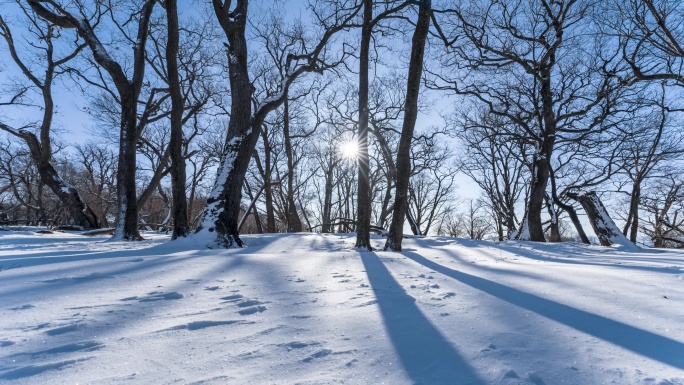 东北冬天吉林四方顶子枯树雪景光影
