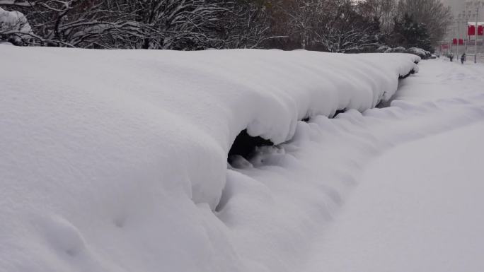 浪漫的雪景 唯美的雪花 雪花漫天飞  D