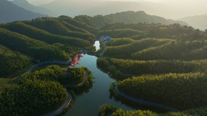 赤水竹海国家森林公园4k