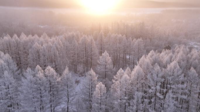 航拍林海雪原雾凇暖阳