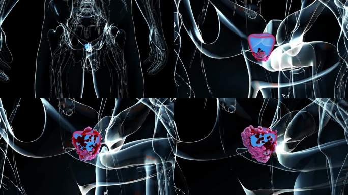 4K前列腺抽象动画