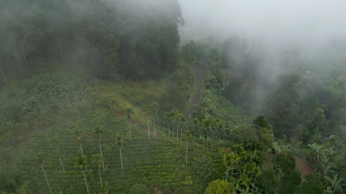 在雾蒙蒙的早晨，在斯里兰卡艾拉建立空中无人机拍摄山丘和火车线与树木和茶园