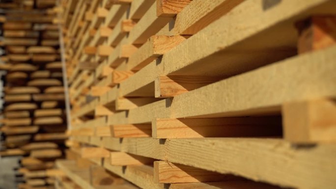 锯木厂的木材。一堆木材。锯木厂，木材加工。木材工业，4k视频。