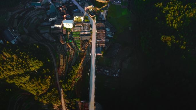 【4K】福建古田种植基地航拍素材