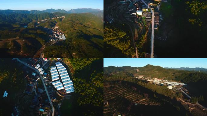 【4K】福建古田种植基地航拍素材