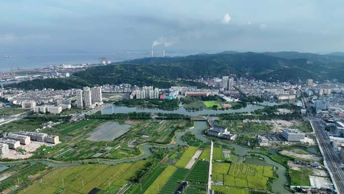 横飞航拍玉环大麦屿街道清晨大景4K