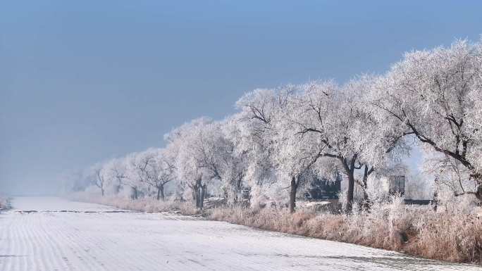 4k-唯美黄骅雾凇树挂雪景