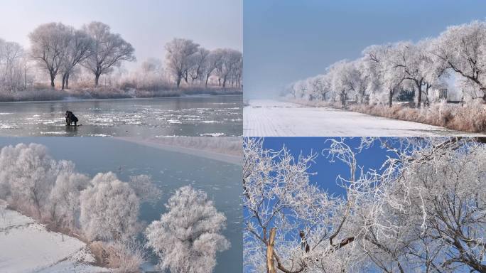 4k-唯美黄骅雾凇树挂雪景