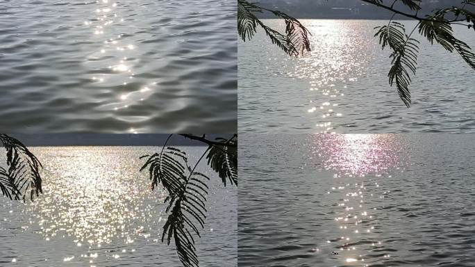 水面发亮点逆光水面波纹运动阳光水面闪光