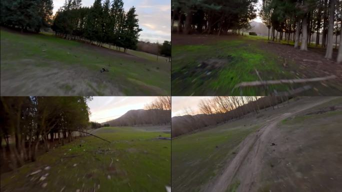 在一个废弃的高尔夫球场上，FPV无人机快速低空飞过树木