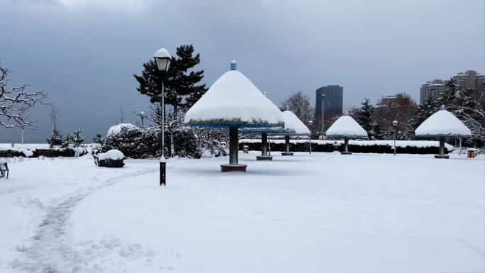 浪漫的雪景 唯美的雪花 雪花飞舞  13