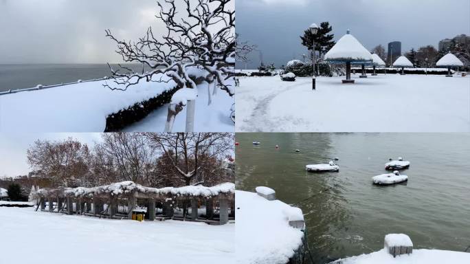 浪漫的雪景 唯美的雪花 雪花飞舞  13