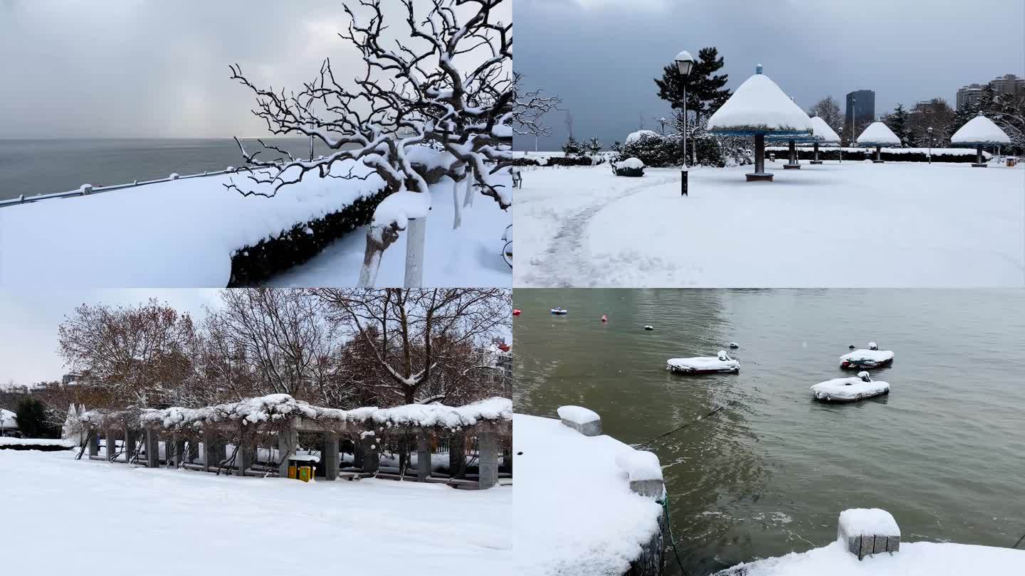 浪漫的雪景 唯美的雪花 雪花飞舞  13