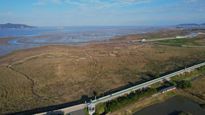 航拍福州闽江河口湿地公园