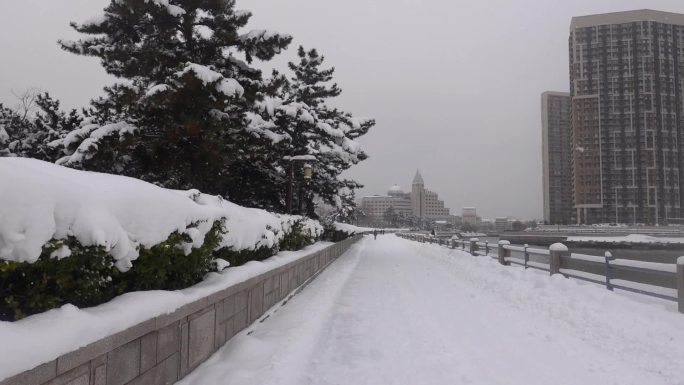 浪漫的雪景 唯美的雪花 雪花漫天飞  B