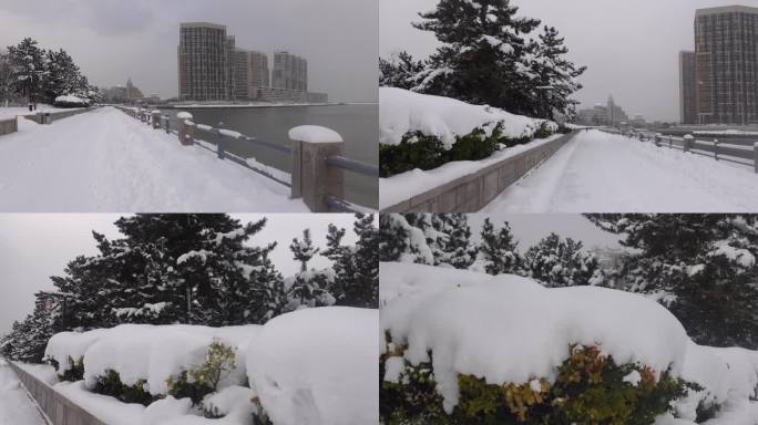 浪漫的雪景 唯美的雪花 雪花漫天飞  B