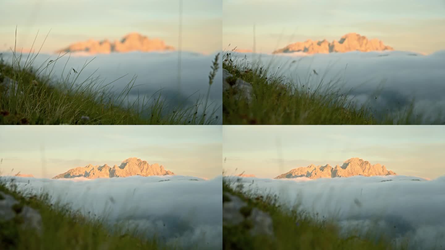 壮丽的山峰在雾后面的草山
