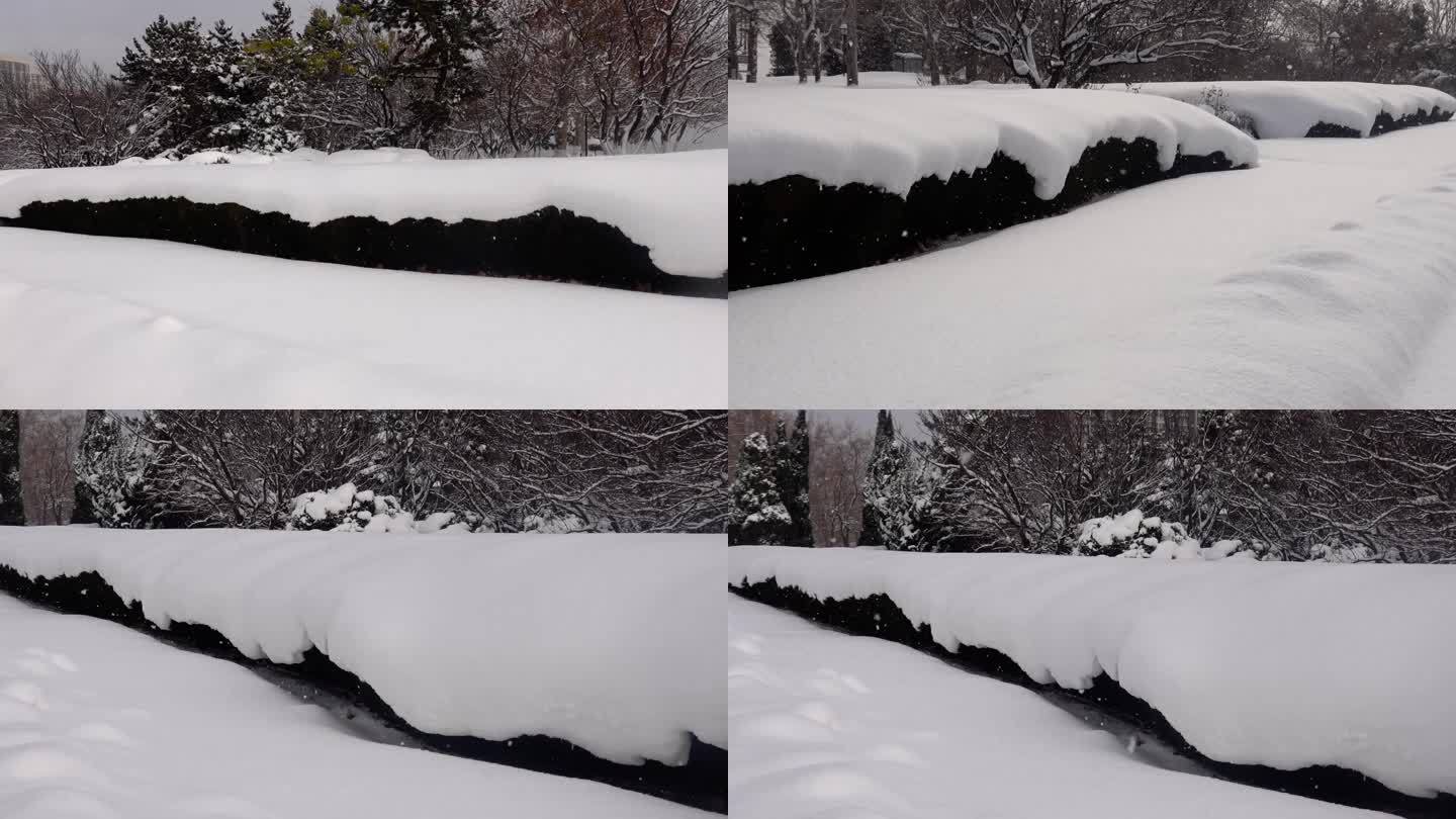 浪漫的雪景 唯美的雪花  请在店里搜索