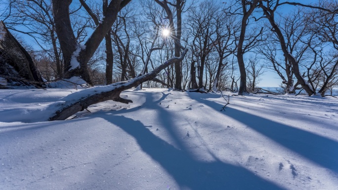 东北冬天吉林四方顶子枯树雪景光影