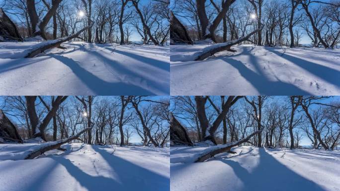 东北冬天吉林四方顶子枯树雪景光影