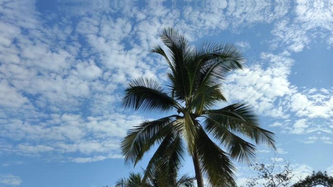 冲上蓝天、自由飞翔