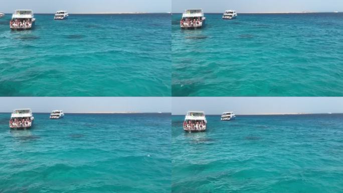 埃及红海出海游高清视频