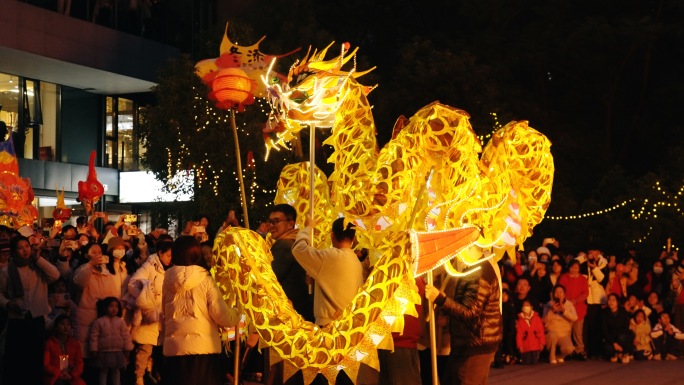 新年春节舞龙喜庆的人群  中国传统文化