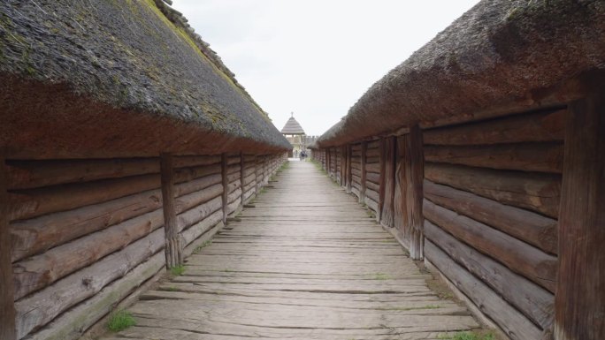 在比斯库平考古遗址和波兰青铜时代晚期强化定居点的真人大小模型内