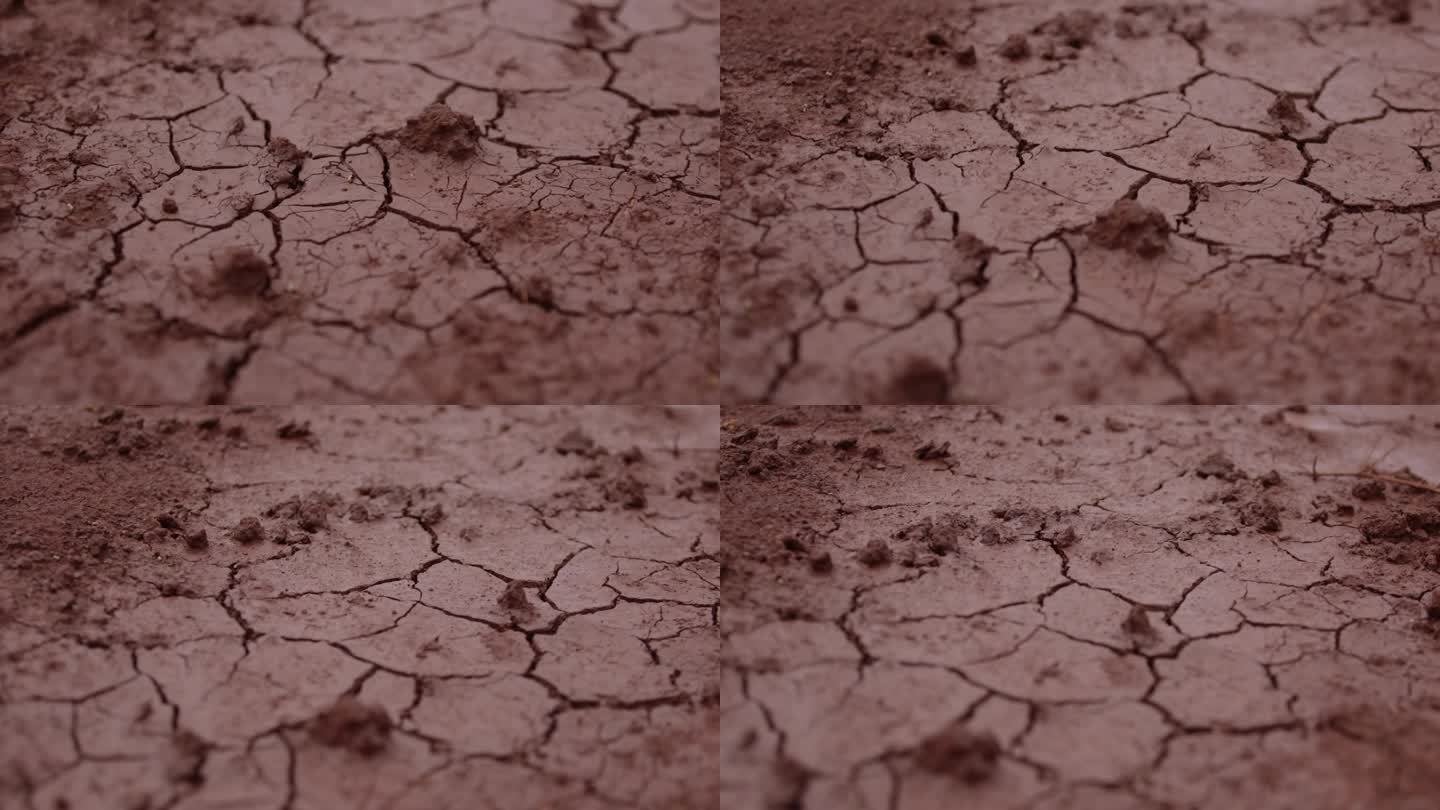 非洲干裂的泥泞地面。特写镜头