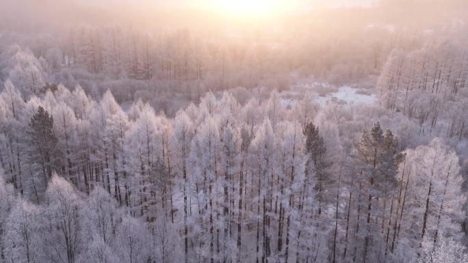 航拍林海雪原雾凇暖阳