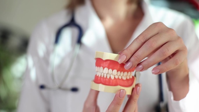 牙科医生在人工颌上展示牙齿的问题区域