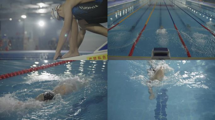 体育运动 游泳 自由泳 蛙泳 跳水
