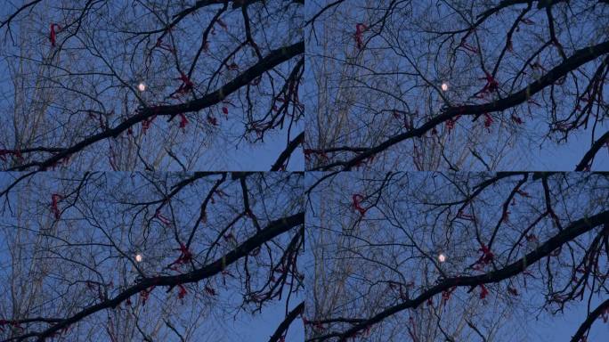 许愿树月亮晚上夜景月牙树枝红布条爱情