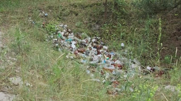 在森林坑非法倾倒塑料和瓶子