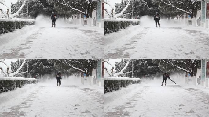 雪花飞雪飘雪下雪瑞雪兆丰年雪迎春到