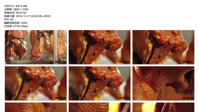 4K视频 卤鹅魅力：细节展示烹饪过程