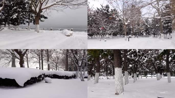 浪漫的雪景 唯美的雪花 雪花漫天飞  C