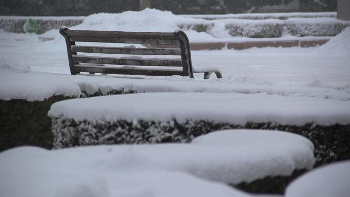 雪花飞雪飘雪下雪瑞雪兆丰年雪迎春到