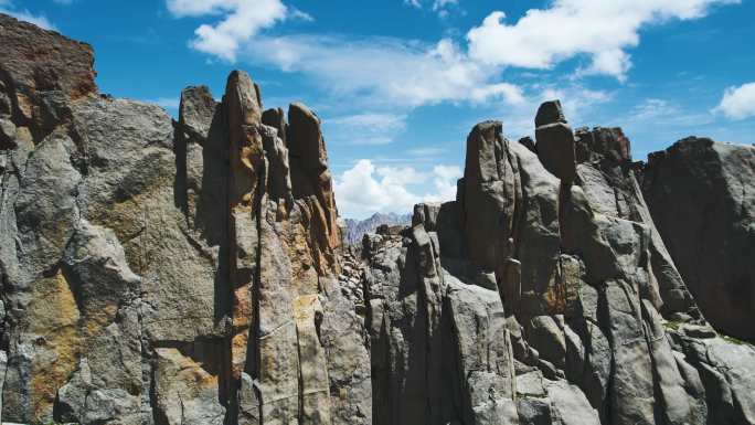 风景 高山 高原 牦牛 航拍