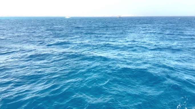 埃及红海出海游高清视频